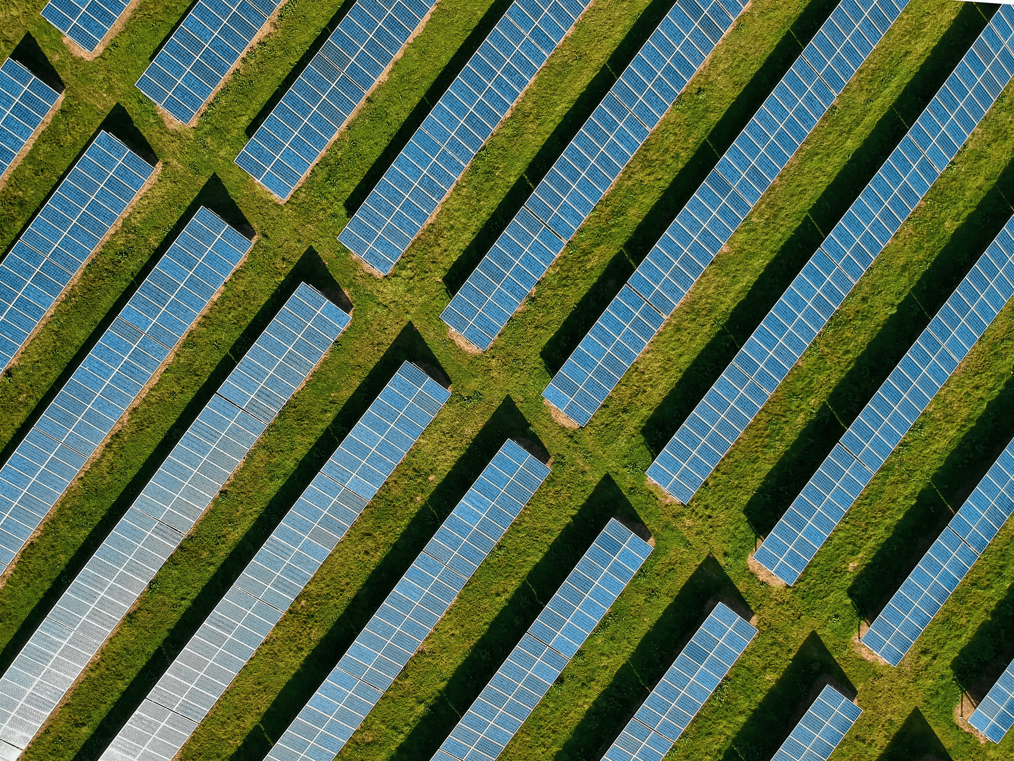 Solar panels in field