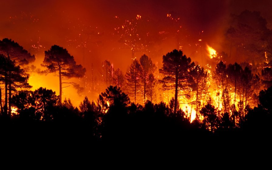Huge forest fire